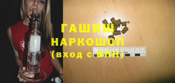 индика Балахна