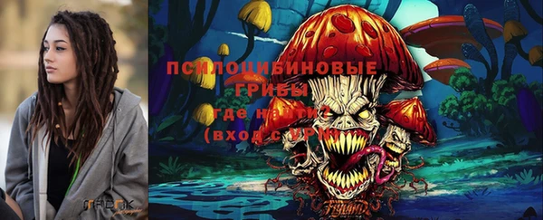 индика Балахна