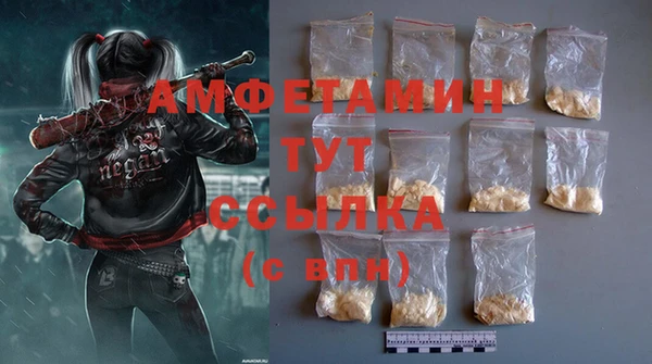 молекула духа Нягань