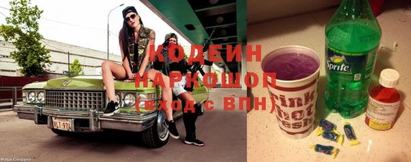 индика Балахна
