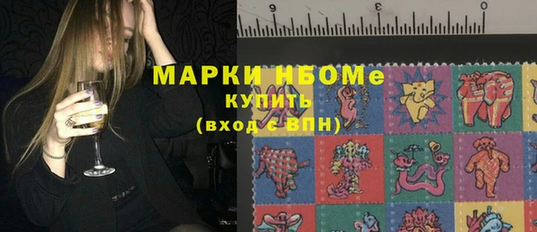 индика Балахна