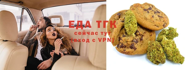 индика Балахна