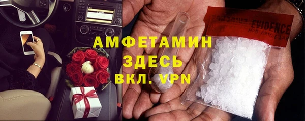 индика Балахна
