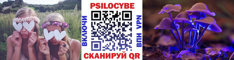 OMG вход  Новоуральск  Галлюциногенные грибы прущие грибы 